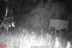 Trail Camera[MP:07]