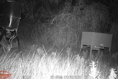 Trail Camera[MP:07]
