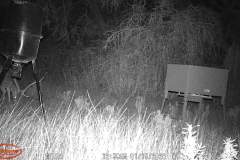 Trail Camera[MP:07]