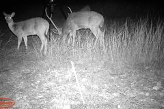 12d1c91b-5d72-46bb-a6b3-b39555413a57-scaled