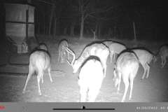 WhatsApp-Image-2026-01-27-at-13.34.11